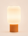 Capsule Lamp