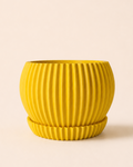 Ribbed Planter
