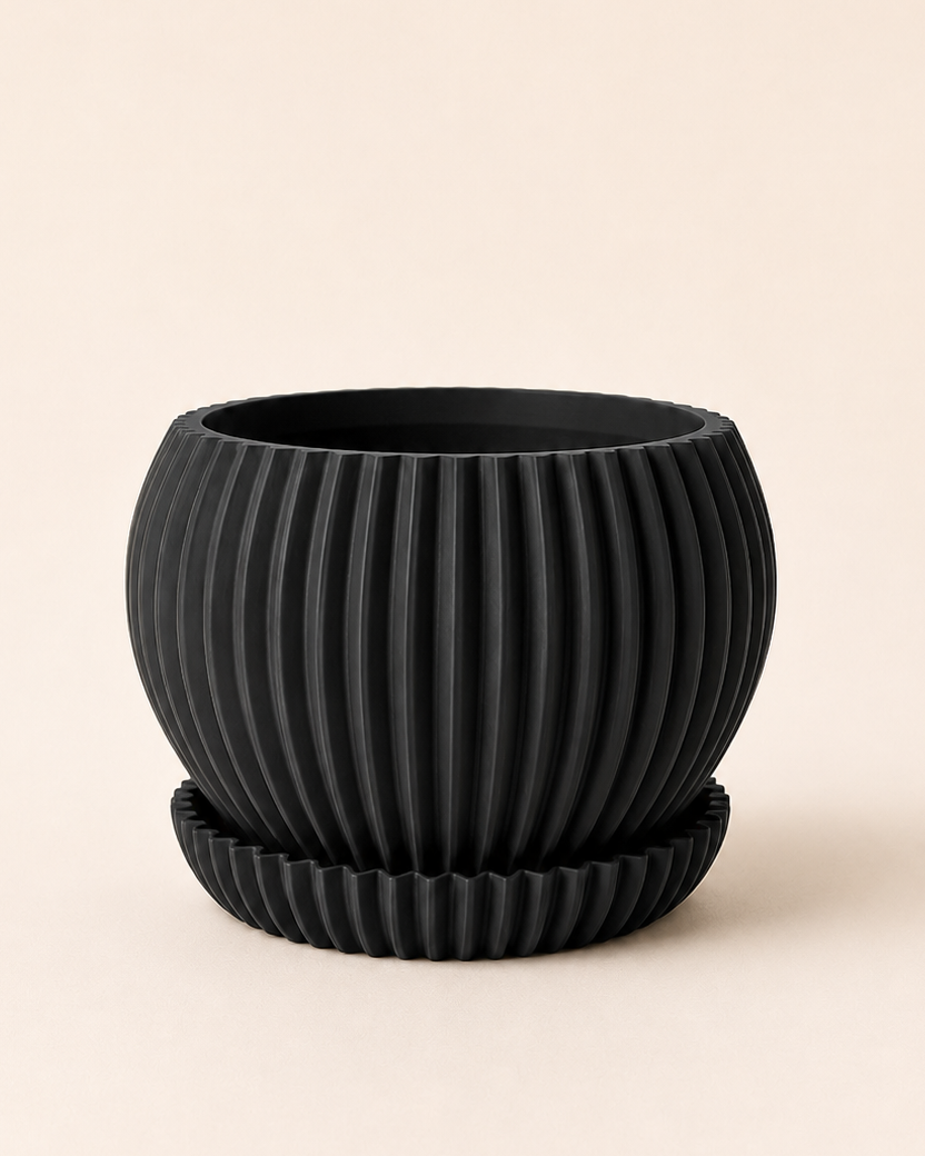Ribbed Planter