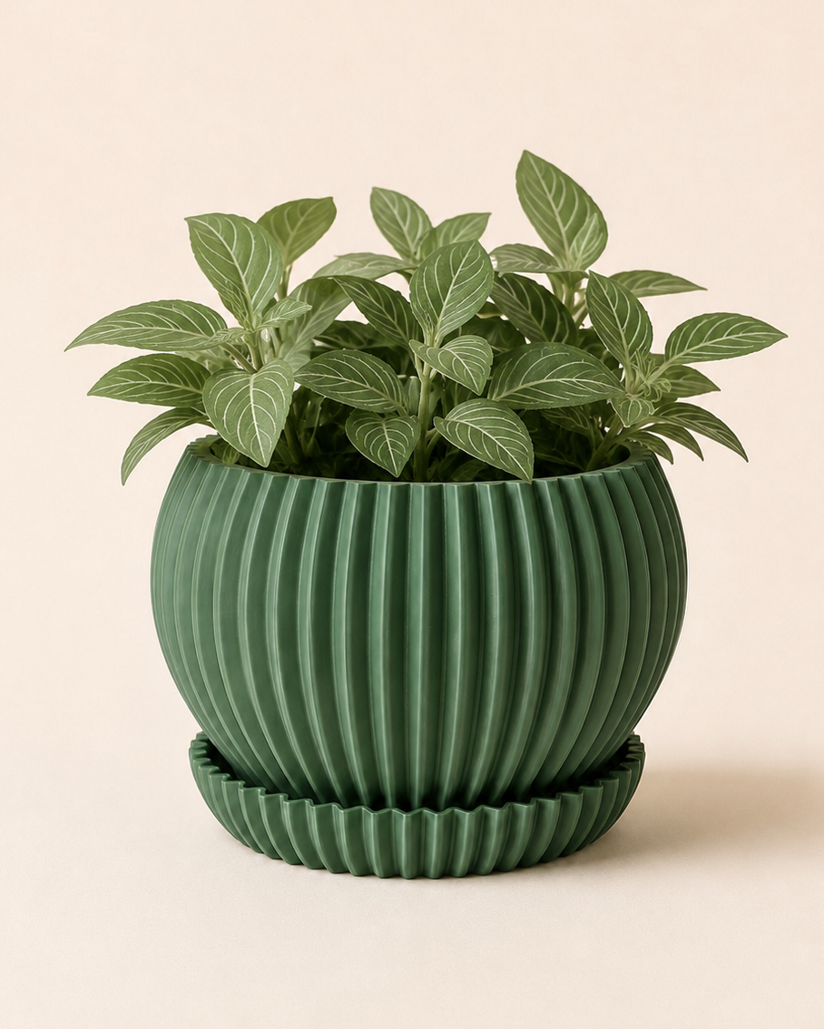 Ribbed Planter